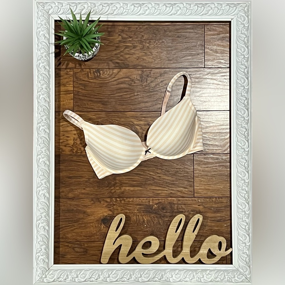 Cacique Padded Bra